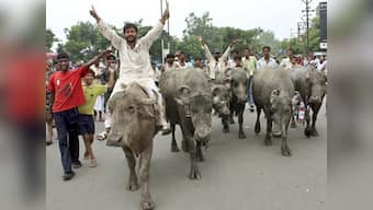 Meizu offers you the chance to win Meizu m2 via its online contest