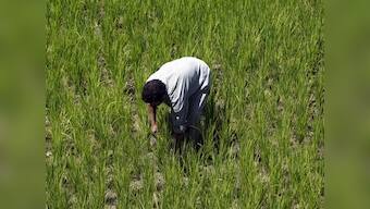 Budget 2019: PHD Chamber expects reforms in farm sector, rationalisation of direct taxes; says bold steps essential to boost investment