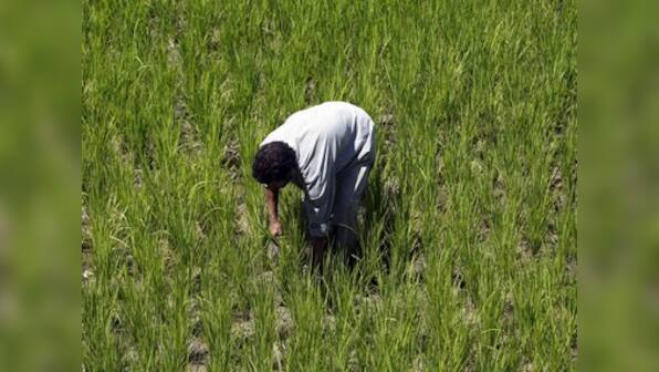 Budget 2019: PHD Chamber expects reforms in farm sector, rationalisation of direct taxes; says bold steps essential to boost investment