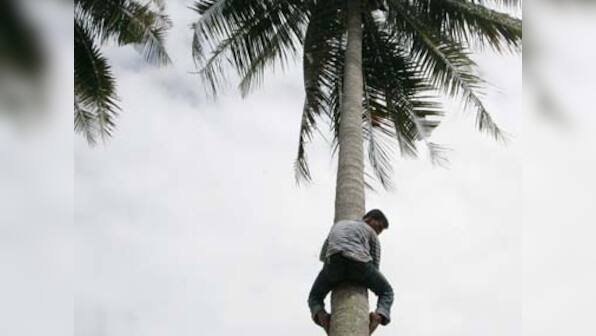 Kerala youth modernises coconut plucking into a hi tech profession