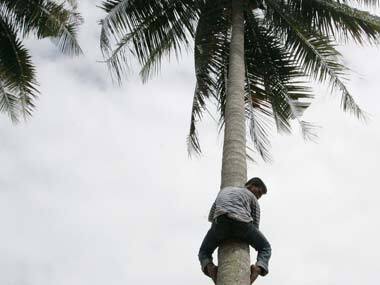 Kerala youth modernises coconut plucking into a hi tech profession