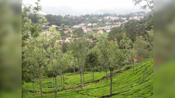 Summer holiday getaways: Ooty, Amsterdam, or Thailand?
