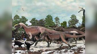 T-rex was warm and fuzzy, according to new evidence