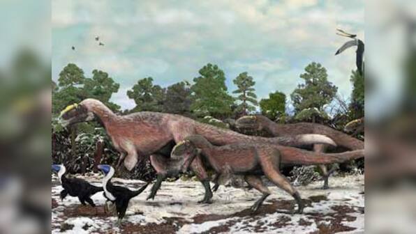 T-rex was warm and fuzzy, according to new evidence