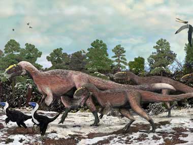 T-rex was warm and fuzzy, according to new evidence T-rex was warm and fuzzy, according to new evidence