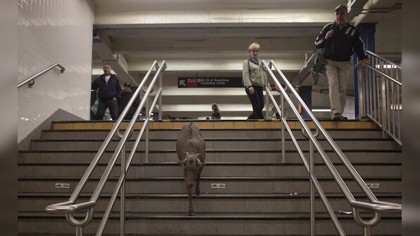 Google+ and Facebook: The rise of social media, and the failed attempts that ensued