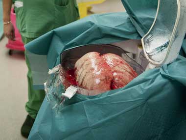 Asus Zen Festival on 6 August likely to see three Zenfone launches: Report Asus Zen Festival on 6 August likely to see three Zenfone launches: Report