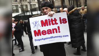 In Dog we Trust: The US prez election goes barking mad  
