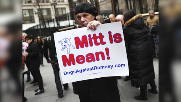 In Dog we Trust: The US prez election goes barking mad  