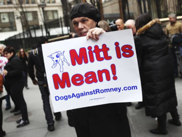 In Dog we Trust: The US prez election goes barking mad  