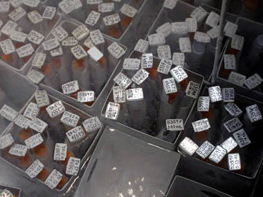 The Amazing Sperm Race: Not India's ballgame? The Amazing Sperm Race: Not India's ballgame?