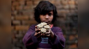 World No Tobacco Day: WHO raises alarm on tobacco industry environmental impact