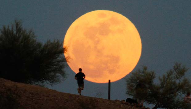 FIR filed against Freedom 251 maker Ringing Bells; MD Mohit Goel willing to cooperate FIR filed against Freedom 251 maker Ringing Bells; MD Mohit Goel willing to cooperate