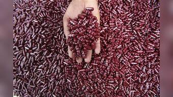 Probe finds collusion between drug regulator, pharma firms