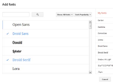 Google Doodle celebrates India's 67th Republic Day with BSF camel contingent Google Doodle celebrates India's 67th Republic Day with BSF camel contingent