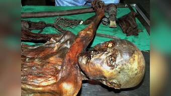 World's oldest blood cells harvested from 5000-year-old iceman