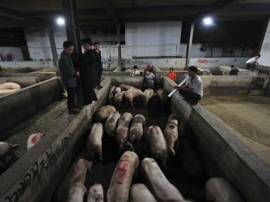 Will pig poo power China's energy appetite? Will pig poo power China's energy appetite?