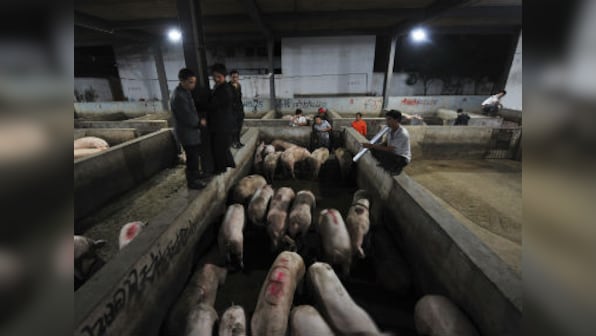 Will pig poo power China's energy appetite?
