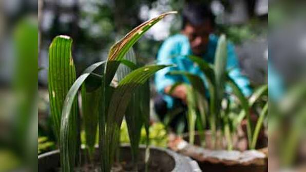 Now an app to tell you when to water plants!