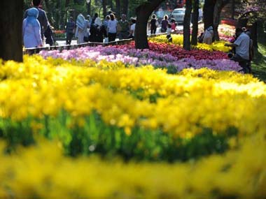 Istanbul: The original home of the tulip Istanbul: The original home of the tulip