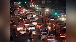 How silkworms can help India's car industry 