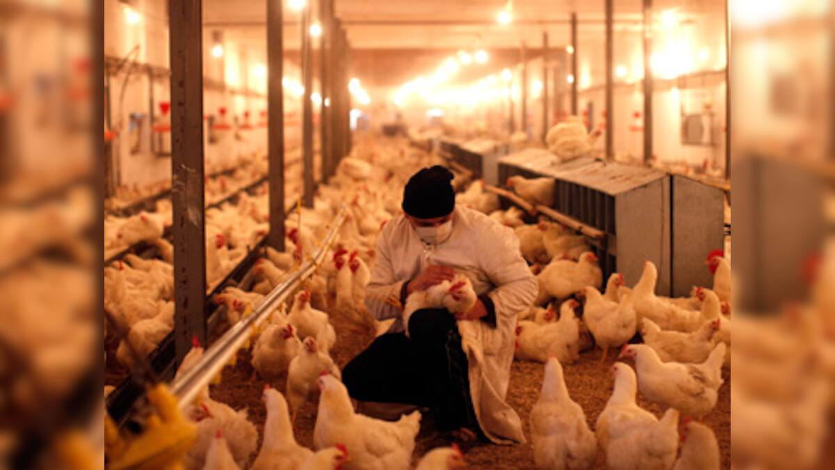 Fish, poultry offer as many problems to the human body as red meat ...