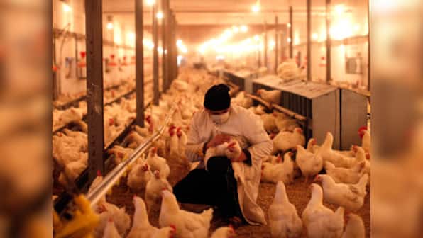 Fish, poultry offer as many problems to the human body as red meat