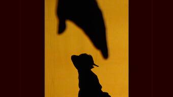 After disbelief, cops file chargesheet in Park Street rape case