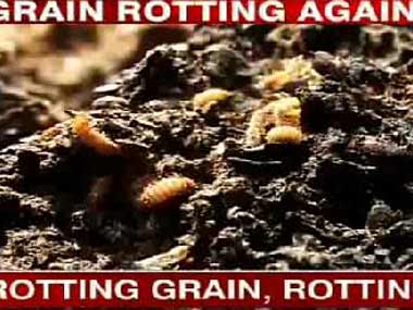 Sennheiser PMX 686G Review: A good earphone package for sports activities Sennheiser PMX 686G Review: A good earphone package for sports activities