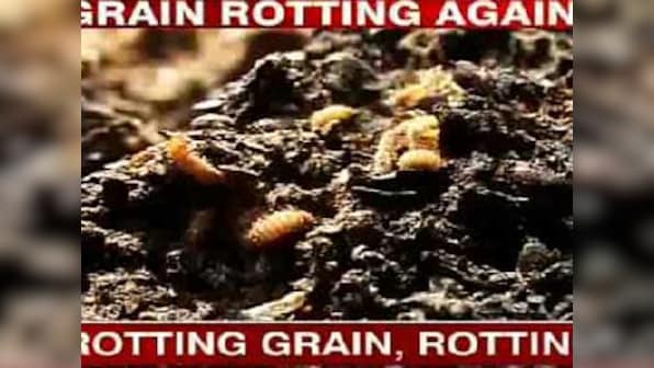 Worms feast on foodgrain, while warehouses store liquor