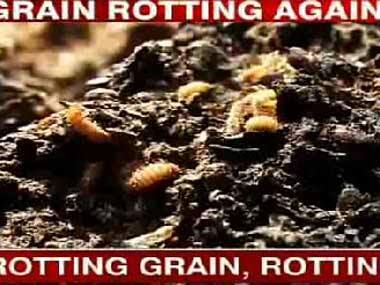 Sennheiser PMX 686G Review:  A good earphone package for sports activities