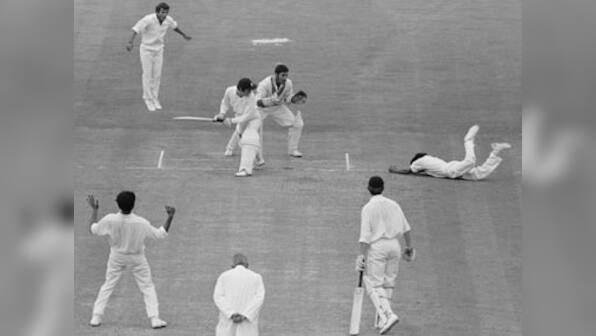 Close encounters on the cricket field