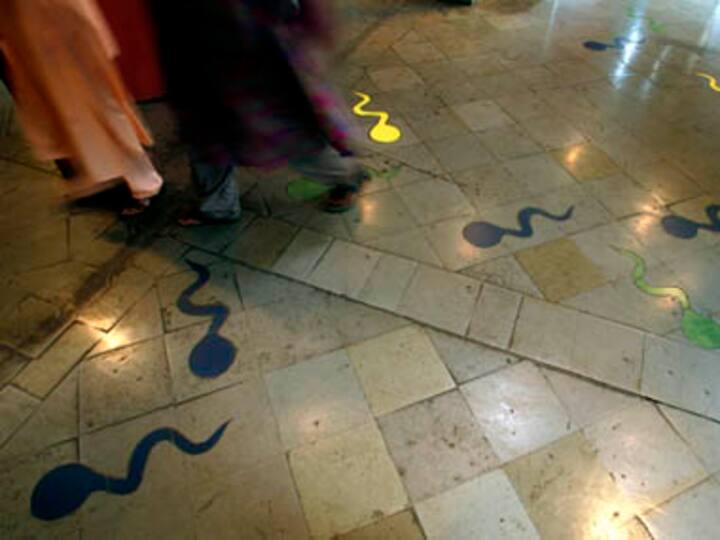 Sperms are like drunk drivers in a demolition derby Sperms are like drunk drivers in a demolition derby