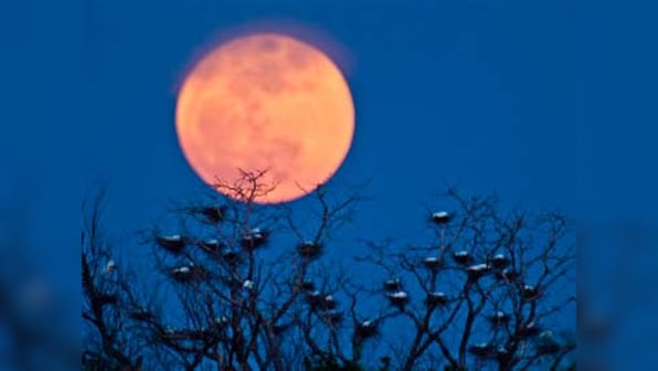 Thiruvananthapuram prepares for a lunar trilogy; to witness lunar eclipse, Supermoon and Blue Moon on 31 January