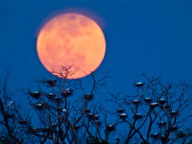 Thiruvananthapuram prepares for a lunar trilogy; to witness lunar eclipse, Supermoon and Blue Moon on 31 January Thiruvananthapuram prepares for a lunar trilogy; to witness lunar eclipse, Supermoon and Blue Moon on 31 January