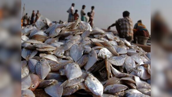 World's leading economies lag behind in natural capital