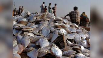 Sri Lankan navy threaten fishermen near Lankan waters