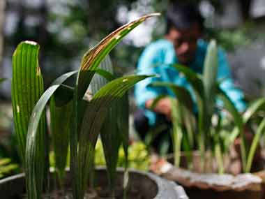 Plants talk to each other as they sway in breeze? Plants talk to each other as they sway in breeze?