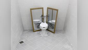 Montek's toilet and the media's loo-natic frenzy