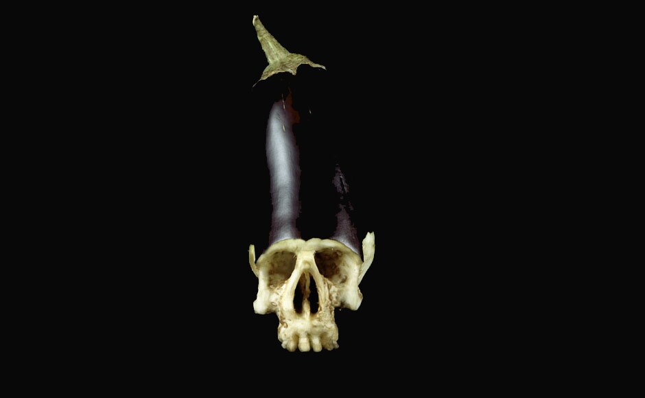 Brinjal skull Brinjal skull