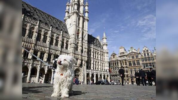 Bagels, Tintin and cream cheese: Food and thought in Brussels