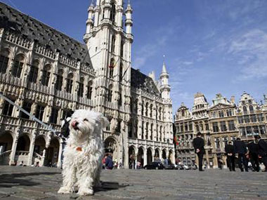 Bagels, Tintin and cream cheese: Food and thought in Brussels Bagels, Tintin and cream cheese: Food and thought in Brussels