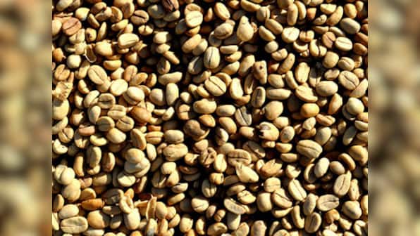 India's commodity exchanges grow 4% despite fall in bullion trade