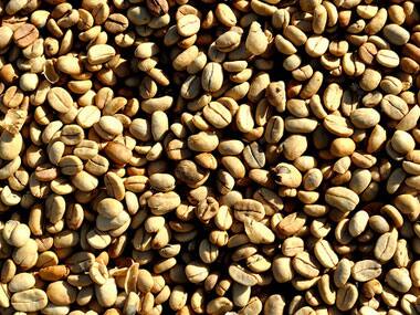 IIT Bombay Assistant professor wins INSA medal in Young Scientist category for CO2 emission research