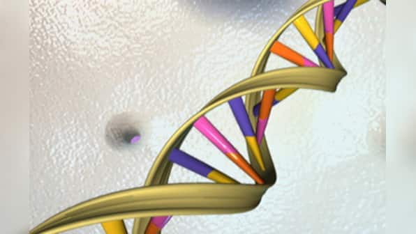 7000-year-old Human DNA found in Spain‎