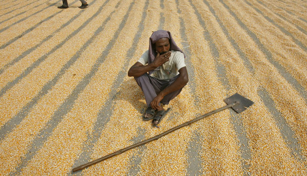 Amazon's Great Indian Sale: An Xbox One for Rs 23,990 and more; here are the best deals you can get Amazon's Great Indian Sale: An Xbox One for Rs 23,990 and more; here are the best deals you can get