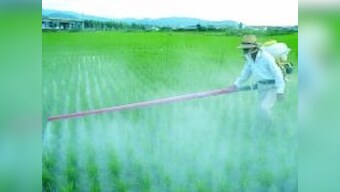 Budget 2018 must stimulate agriculture sector to help fertiliser players, says ICRA