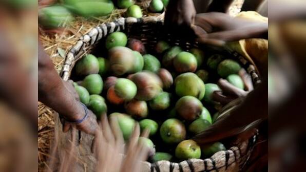 Eating mango skin could help you reduce weight!
