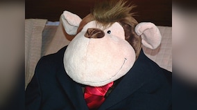 Nifty, Sensex on top, but brokers, Monkeys gain too 