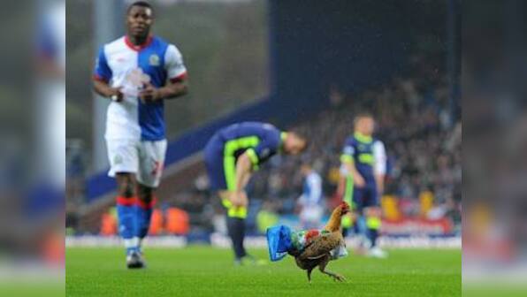 Shebby Singh appointed Blackburn’s director of football